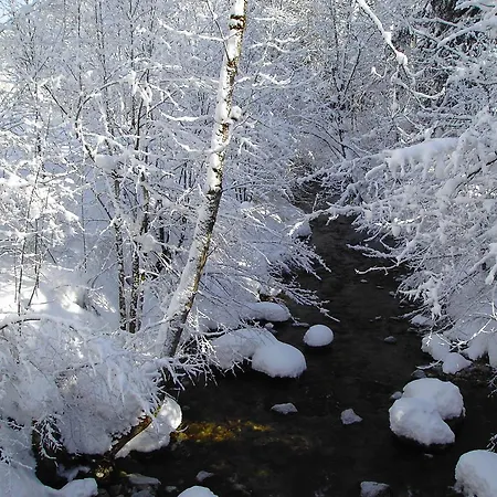 Bergheim Komfort Apartment