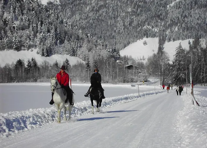 Daire Bergheim Komfort Walchsee