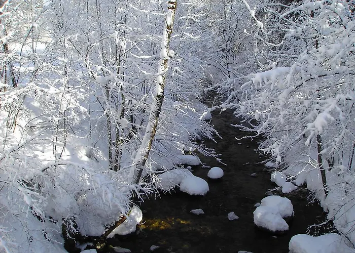 Bergheim Komfort Daire