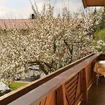 Apartman Bergheim Komfort *